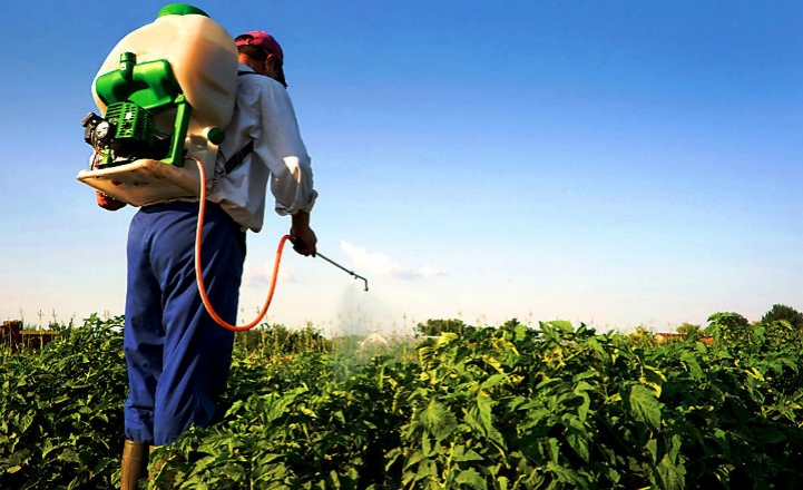 Práctica de Protección Vegetal en Caacupé