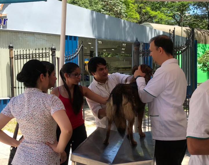 Veterinaria con Impacto Social en Área de Influencia