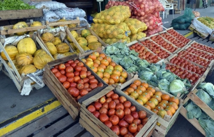 Actividad Práctica en el Mercado Central de Abasto