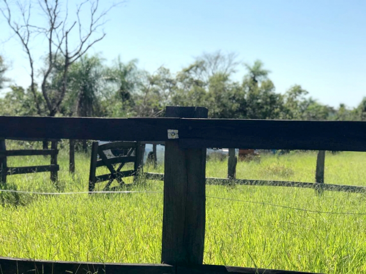 Salida de Campo a San José de los Arroyos