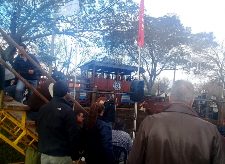 Exposición Braford del Mercosur en Corrientes