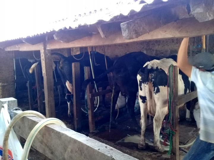 Salida de Campo realizada en Santa Rosa, Misiones