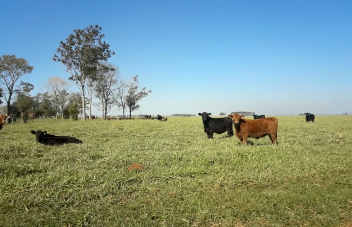 Actividad Práctica en San Miguel, Misiones