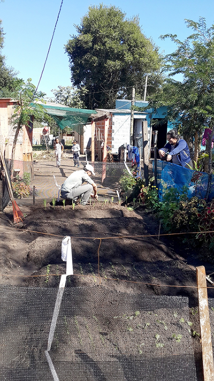 Actividad de Agronomía con Impacto Social