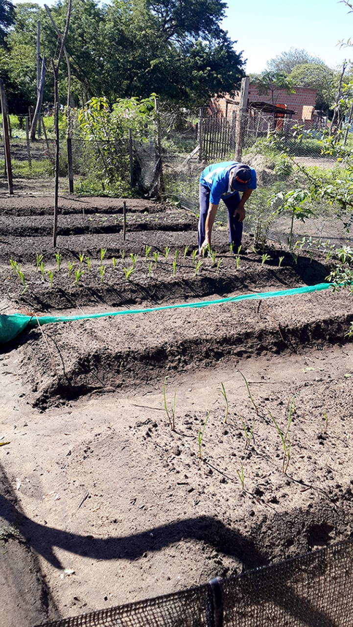 Actividad de Agronomía con Impacto Social