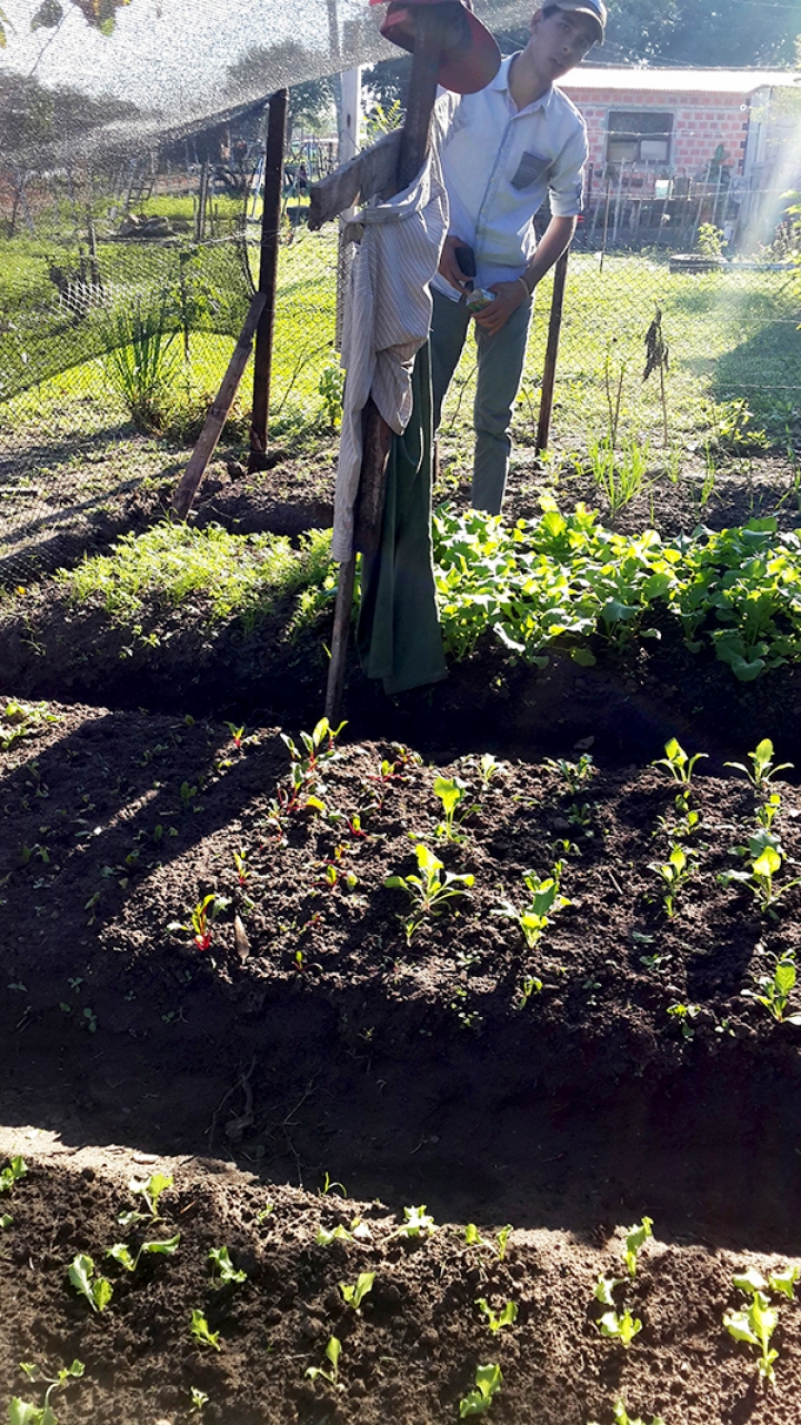 Práctica Profesional de Agronomía 