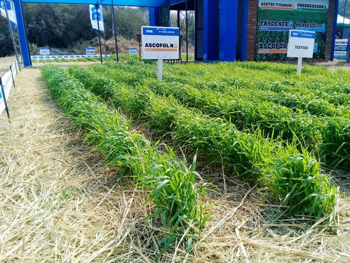 Visita a Expo Rodeo Trébol, Loma Plata, Boquerón