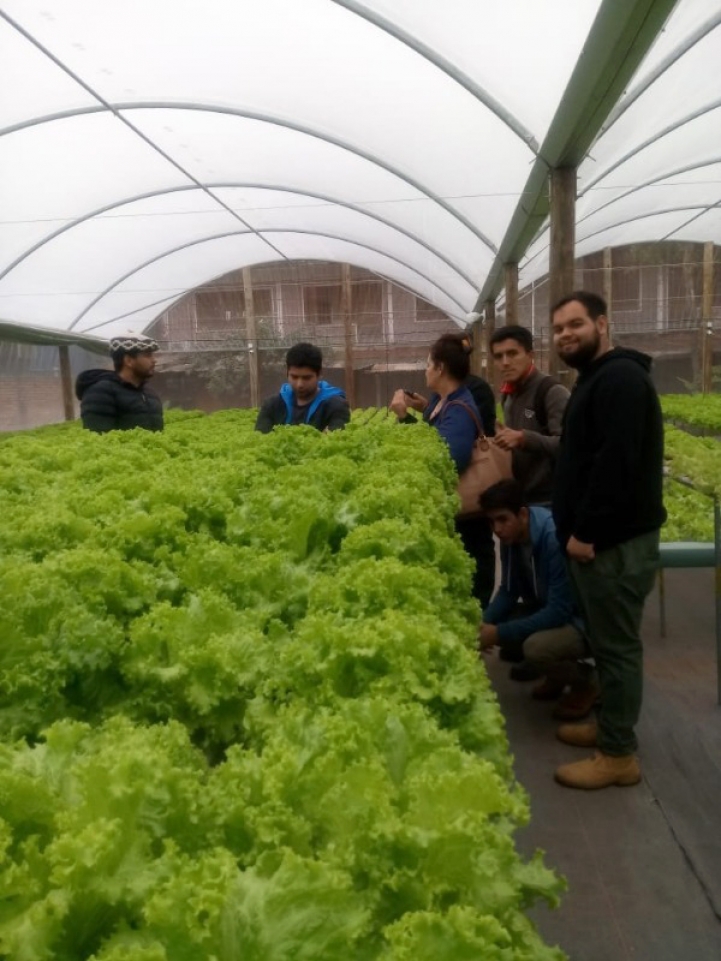 Práctica de Fertilidad de Suelos en San Lorenzo