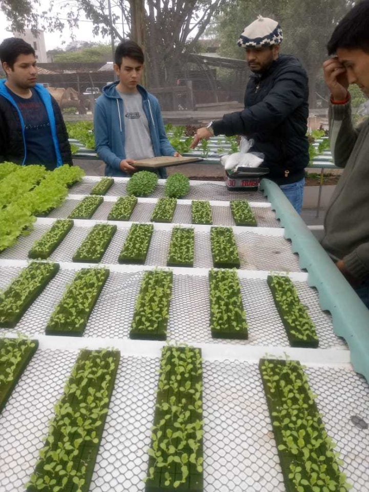 Práctica de Fertilidad de Suelos en San Lorenzo