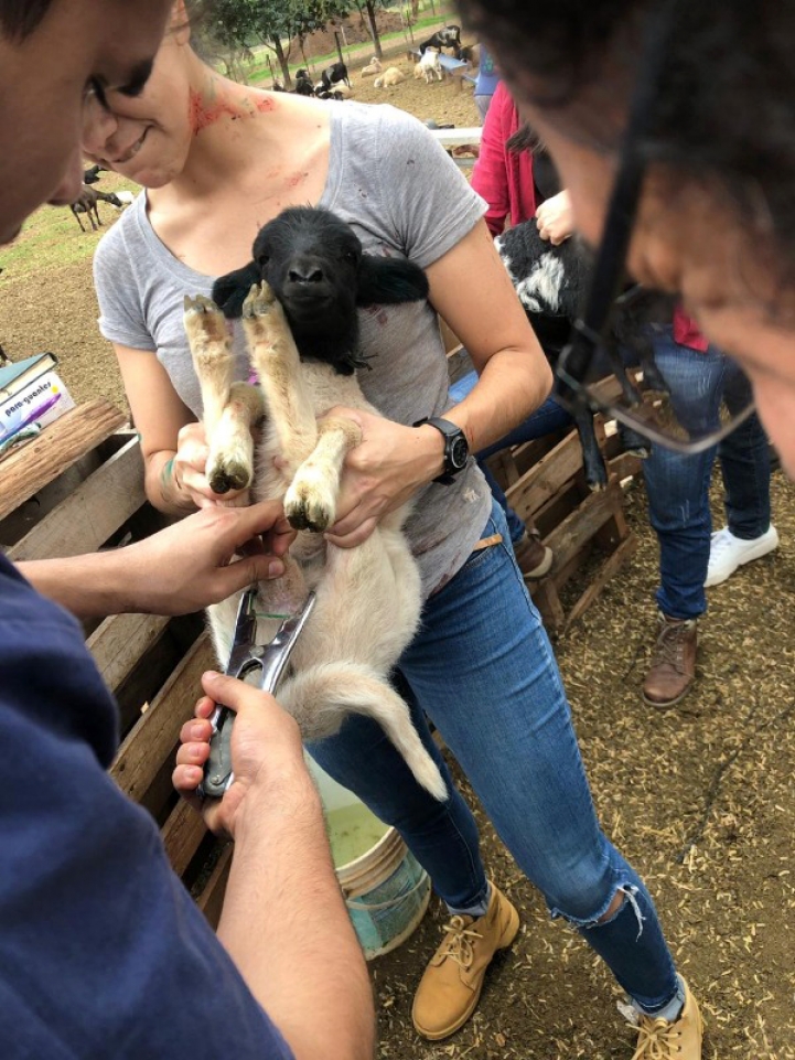 Visita a Cabaña La Soñada, Roque G. de Santa Cruz