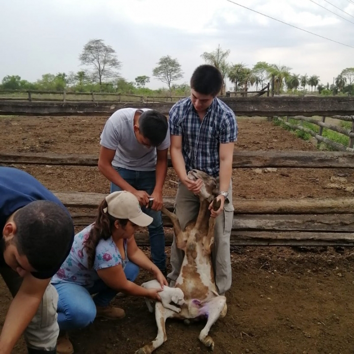 Visita a Establecimiento Ganadero Villa Hayes