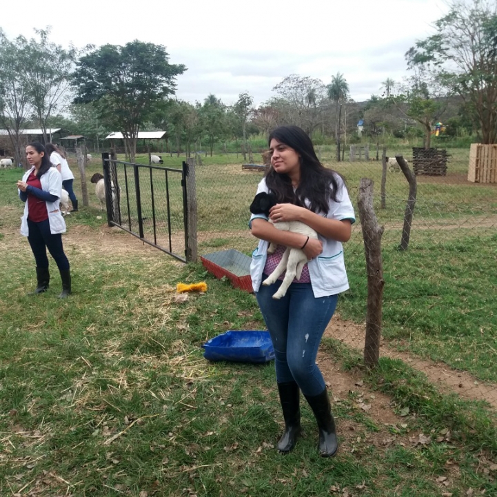 Práctica de Zootecnia en San Bernardino