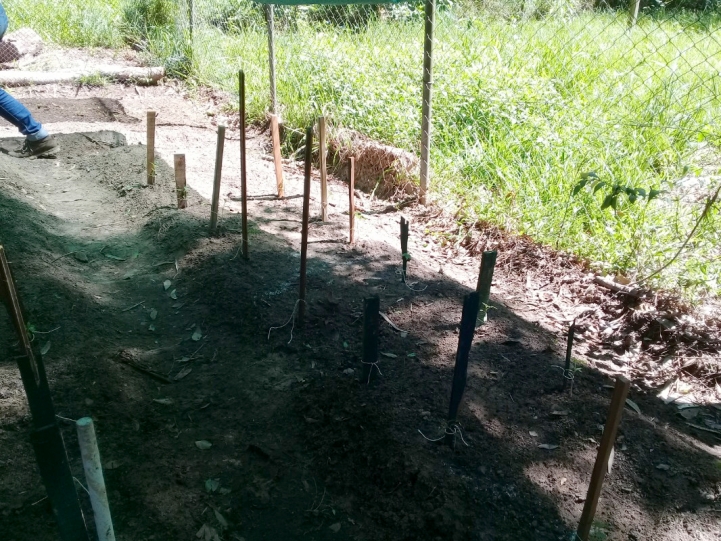 Actividad de Agronomía con Impacto Social