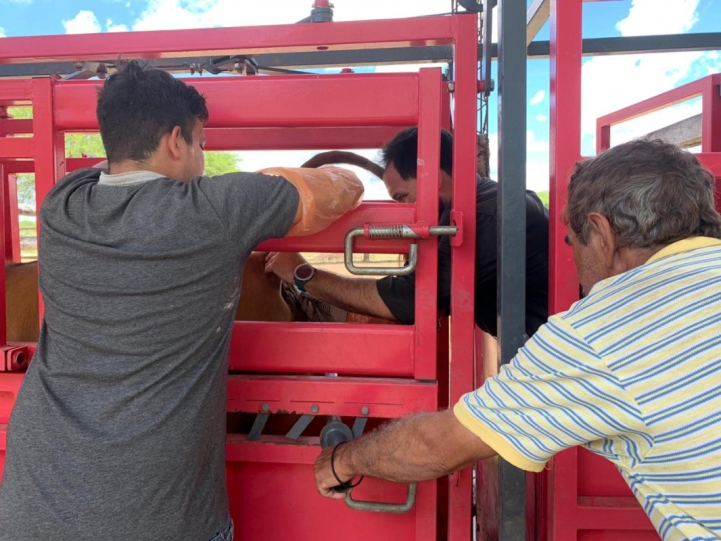 Actividad de Veterinaria en Presidente Hayes