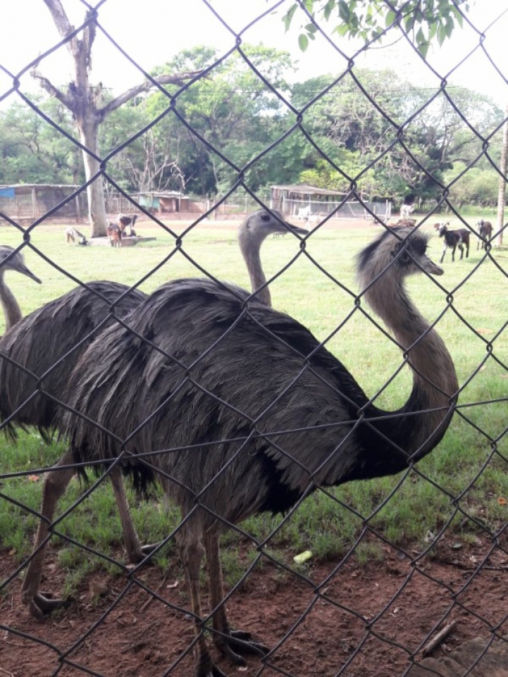 Práctica de Agronomía en el Jardín Botánico