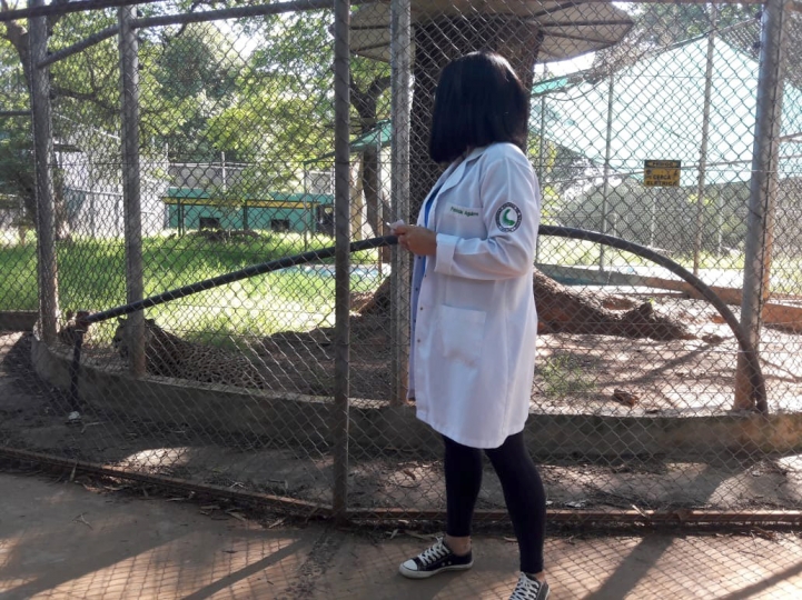 Práctica de Zoología en el Botánico