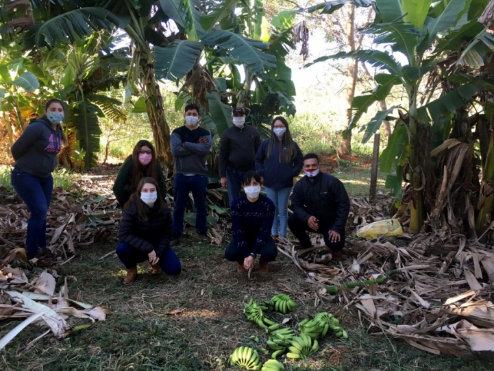 Práctica de Fruticultura en San Lorenzo