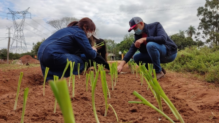 Estudiantes de Ingeniería Agronómica realizan experiencias de campo