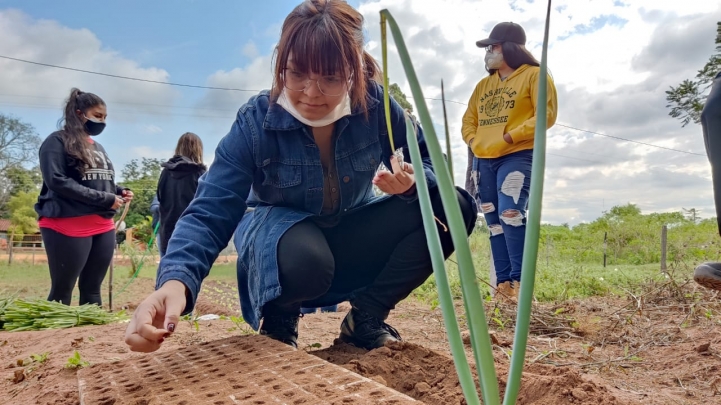 Estudiantes de Ingeniería Agronómica realizan experiencias de campo