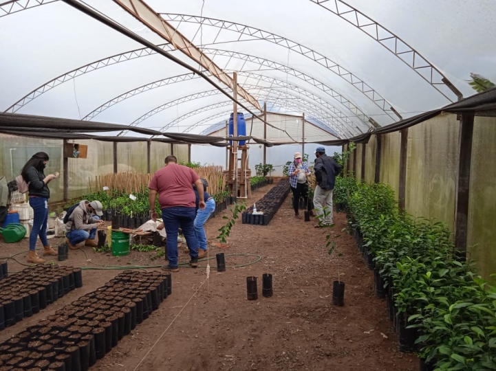 Estudiantes de Ingeniería Agronómica realizan experiencias de campo