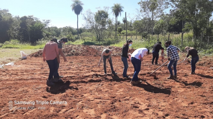 Estudiantes de Ingeniería Agronómica realizan experiencias de campo