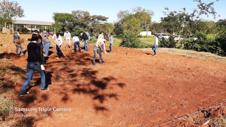 Estudiantes de Ingeniería Agronómica realizan experiencias de campo