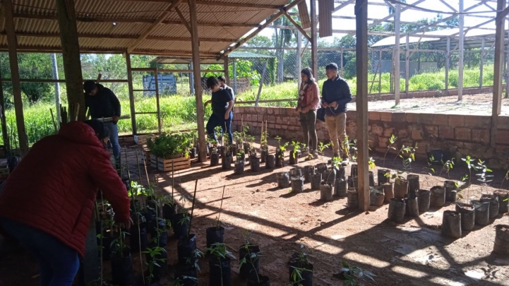 Evaluación de las plantas del huerto frutal