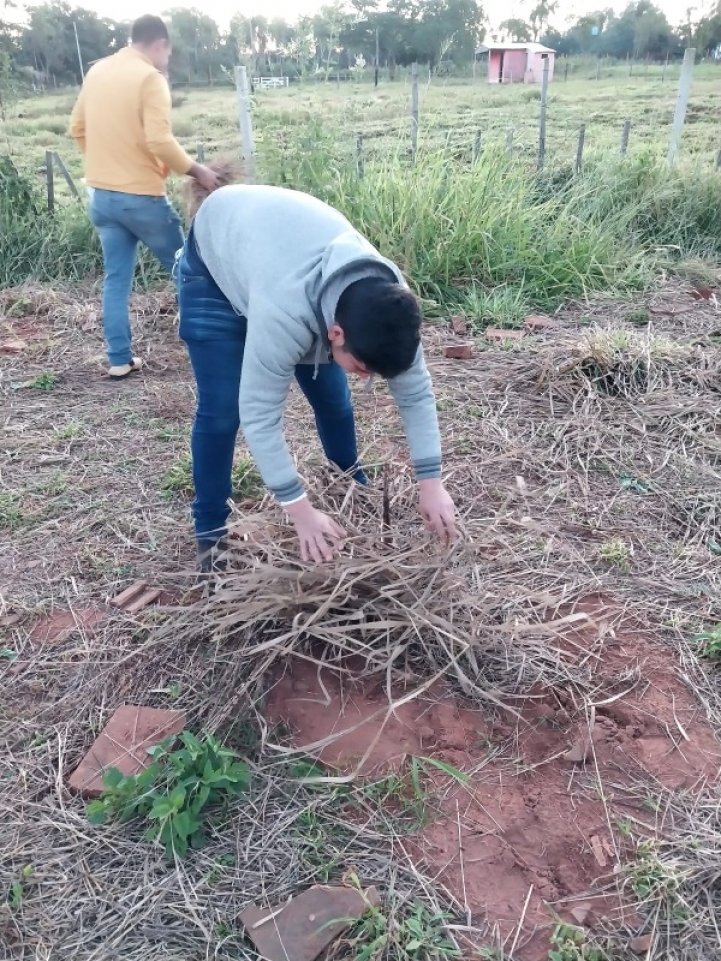 Evaluación de las plantas del huerto frutal