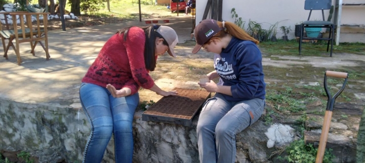 Carga en bandeja germinativa de semillas de lechuga, acelga y remolacha.