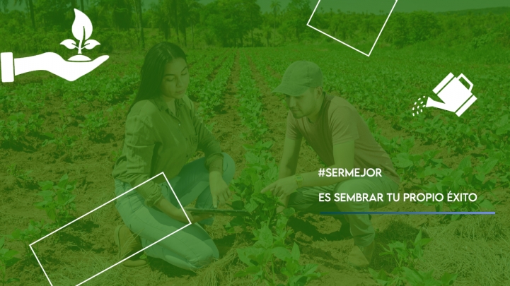 Trabajos de Conclusión de Carrera - Ingeniería Agronómica