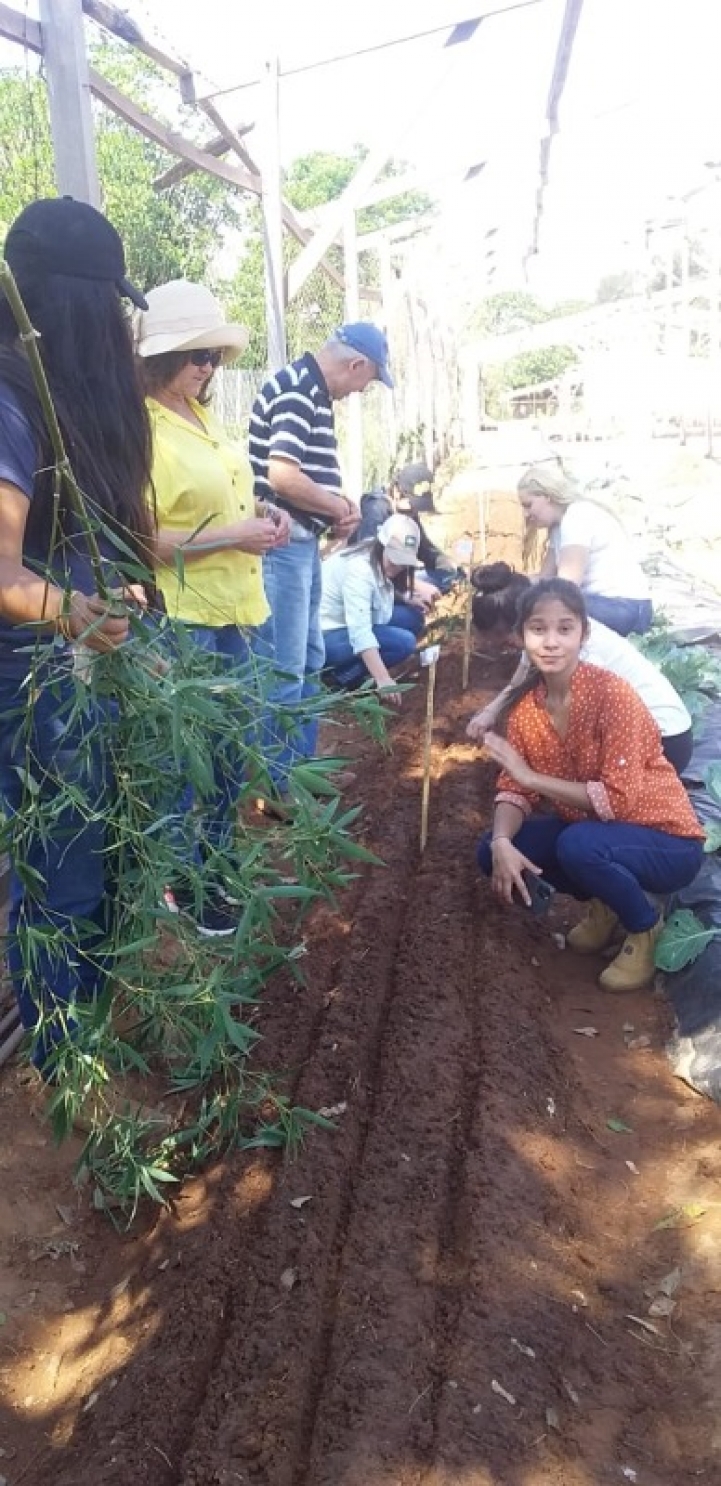 Remisión de suelo y agregado de materia orgánica.