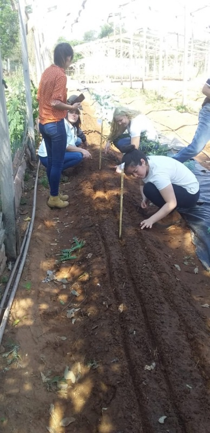 Remisión de suelo y agregado de materia orgánica.