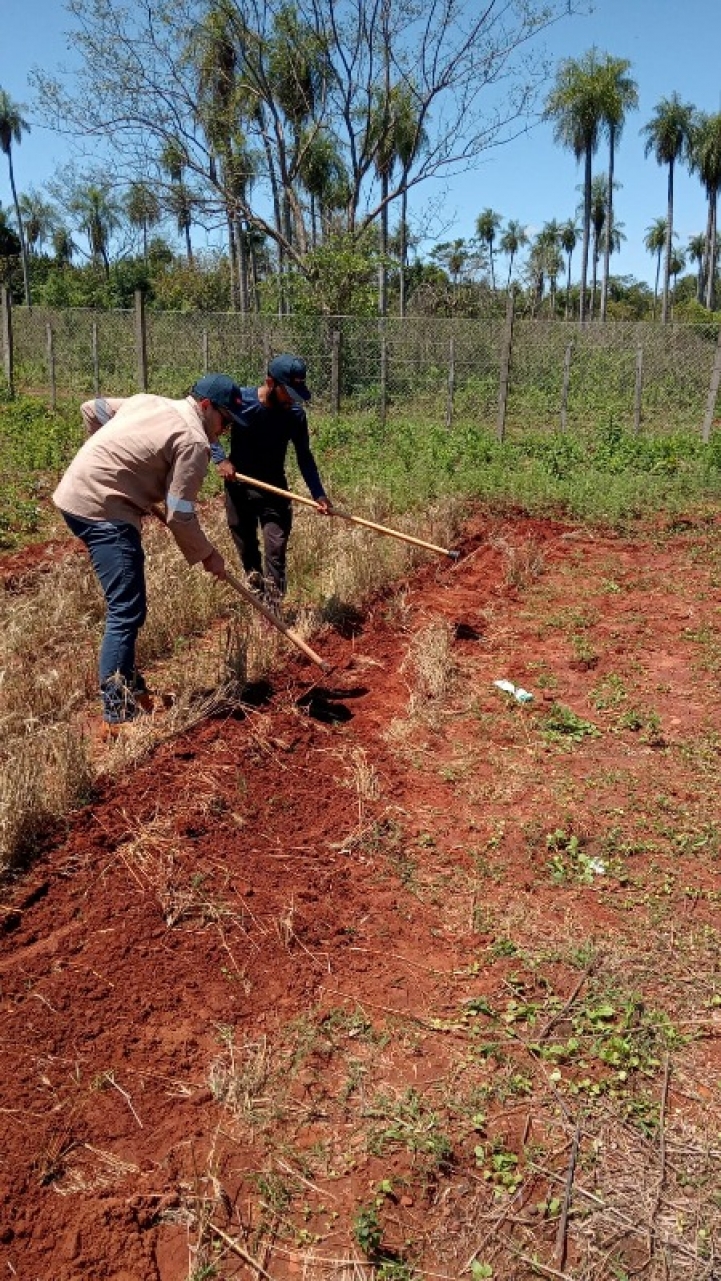 Técnicas de plantación