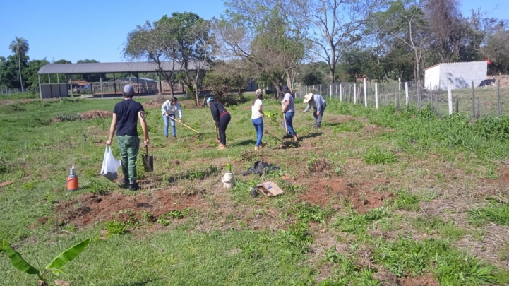 Practica de la materia de Horticultura