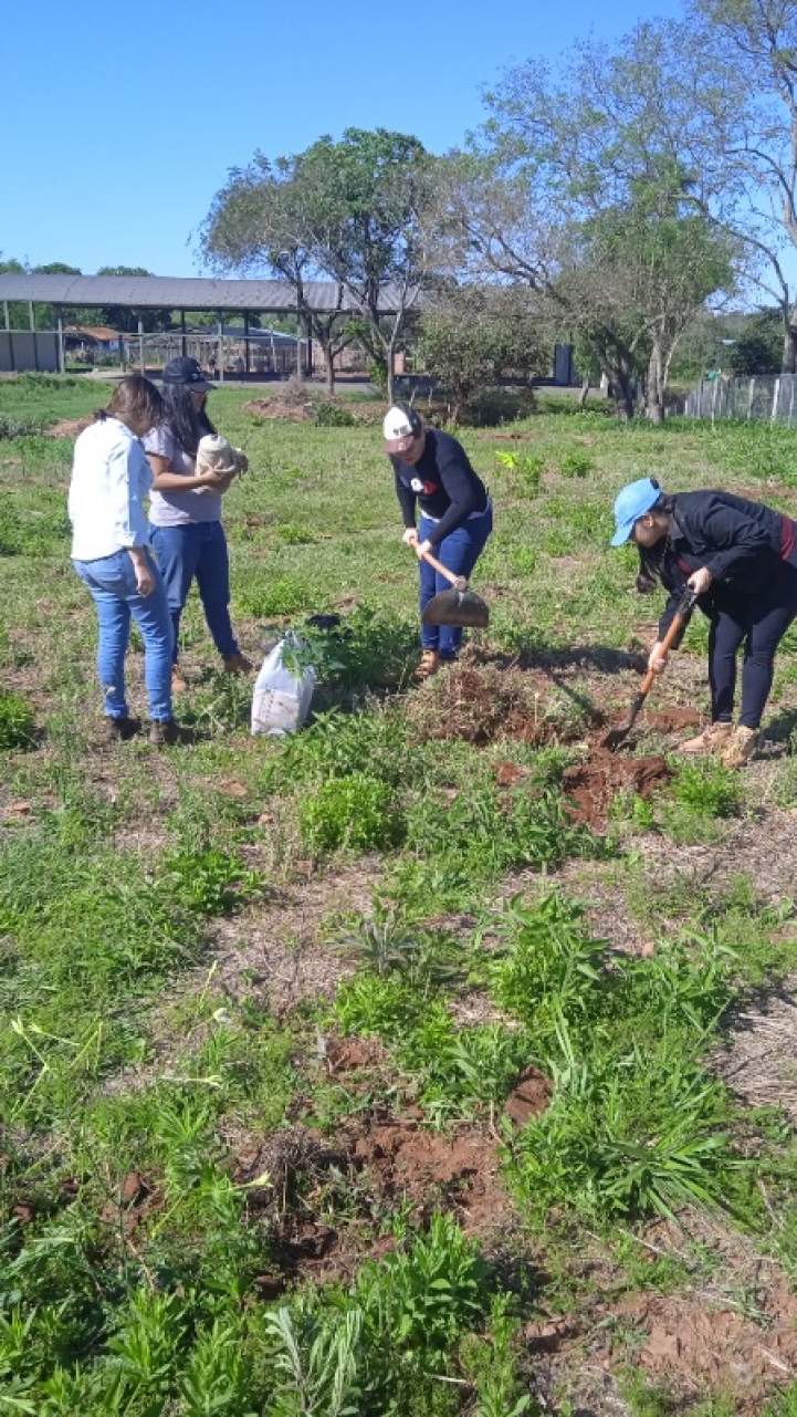 Practica de la materia de Horticultura