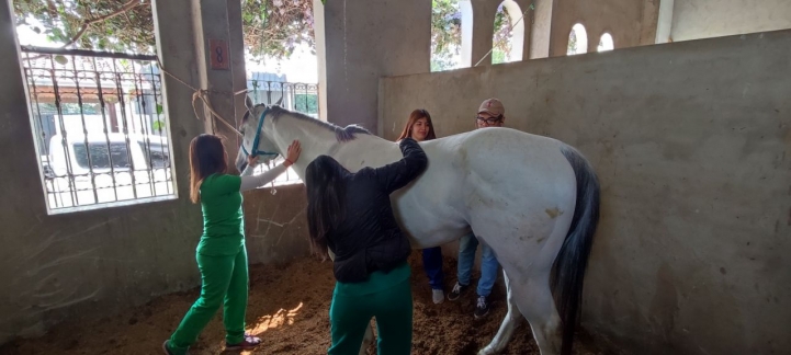 Practicas de Equinotecnia