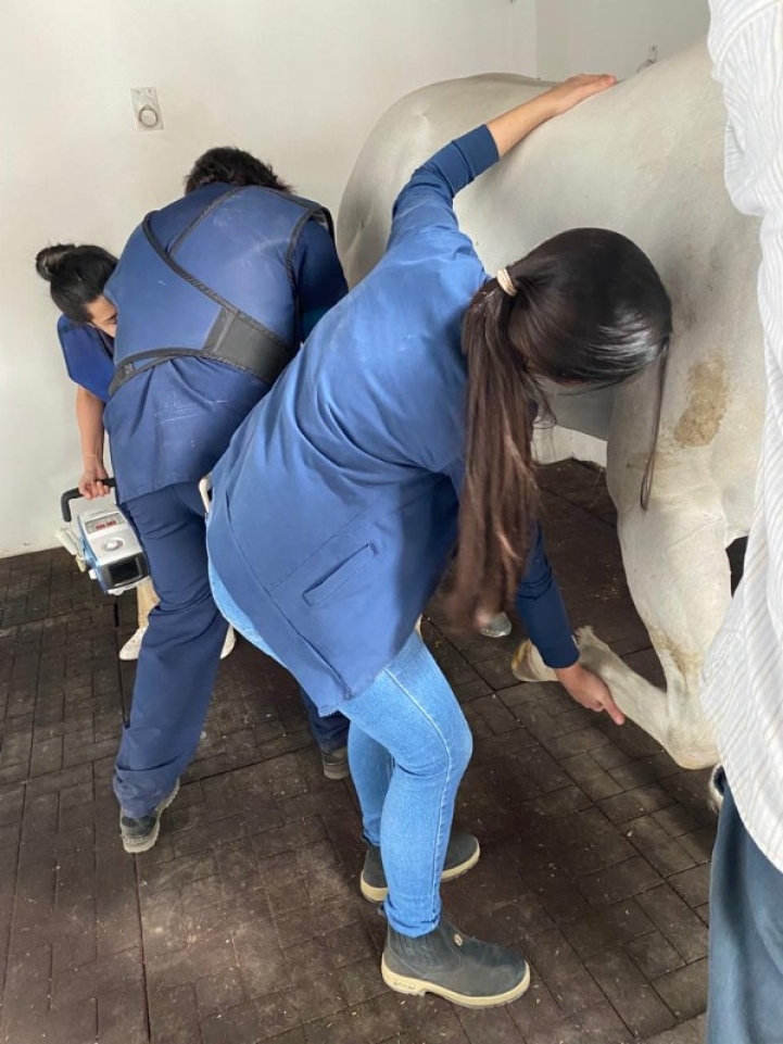 Practicas de Equinotecnia