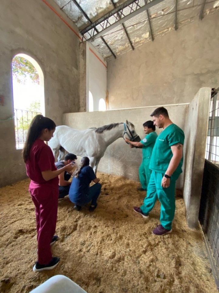 Practicas de Equinotecnia