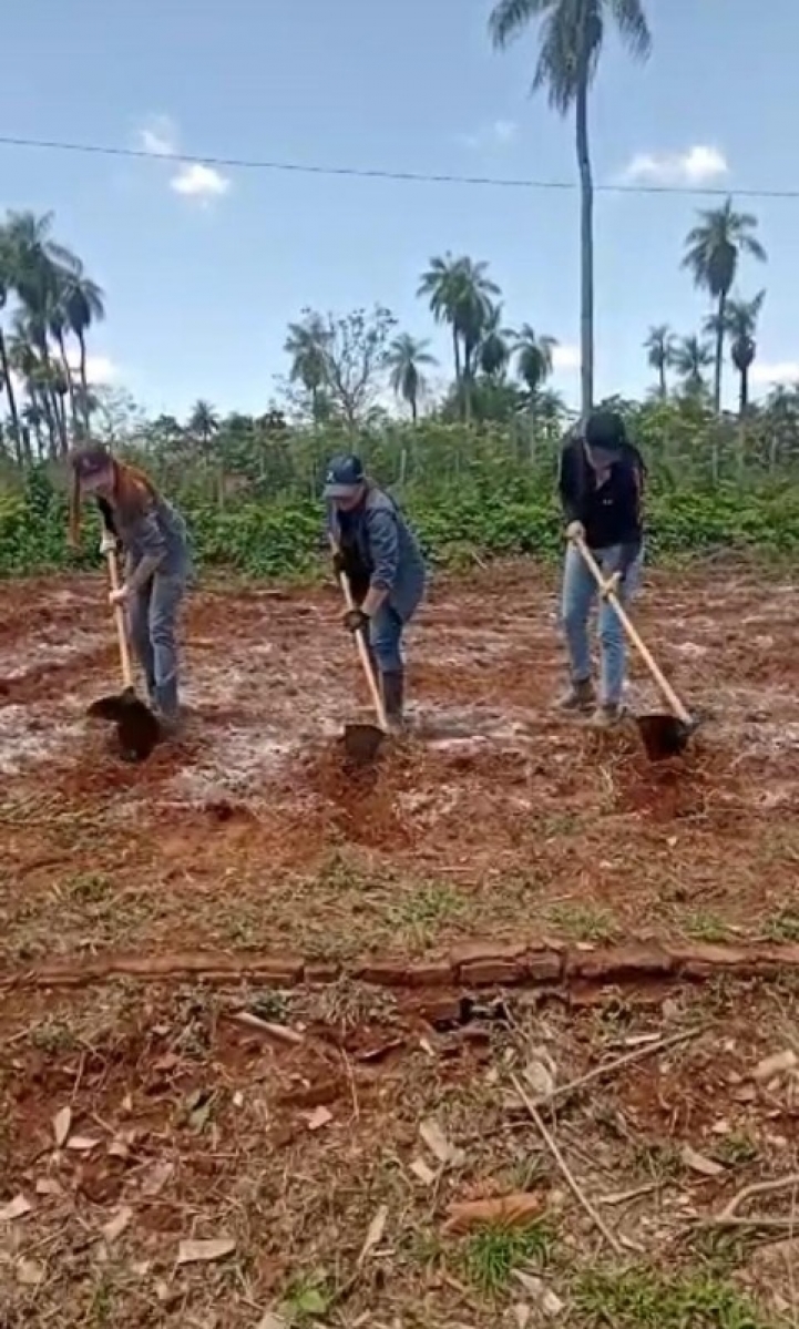 Aplicación de cal agrícola 