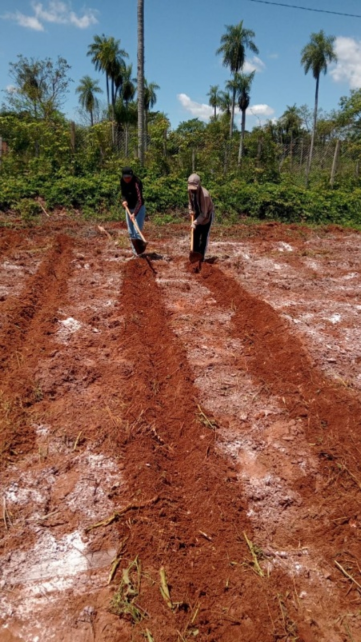 Aplicación de cal agrícola 