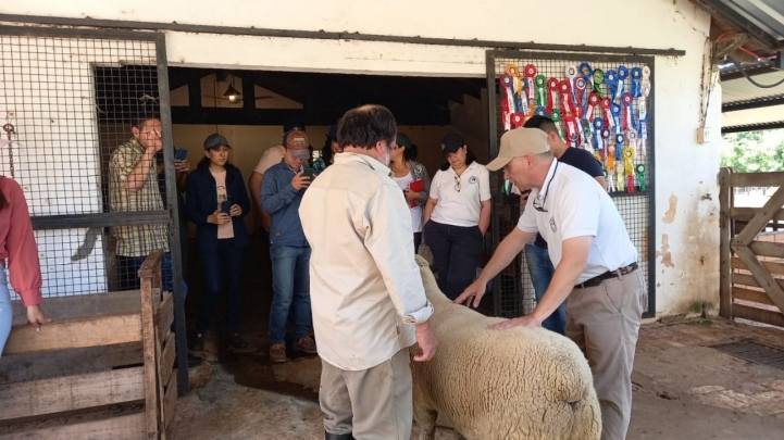 Visita a la Cabaña 12 Hornos