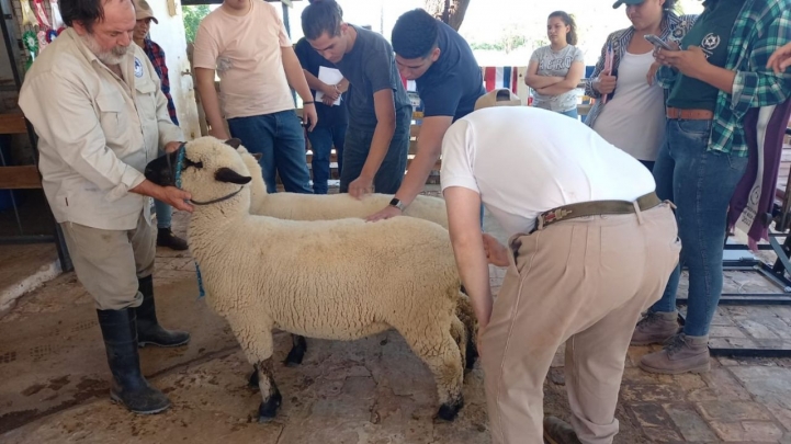 Visita a la Cabaña 12 Hornos