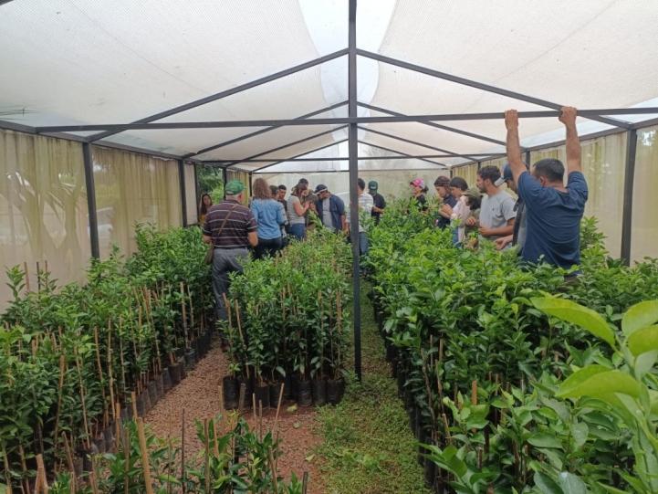 Finca De Productor De Caacupe
