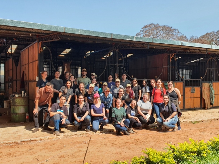 Haras Castanholas, Luque