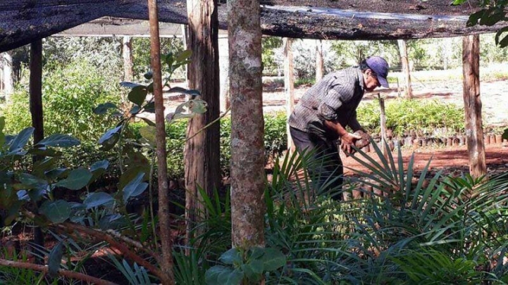 Mi experiencia en la visita de la fábrica de la yerba orgánica Federico