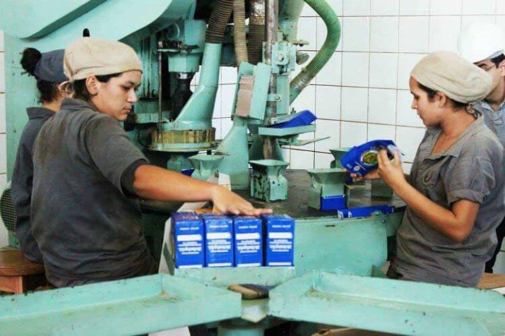 Mi experiencia en la visita de la fábrica de la yerba orgánica Federico