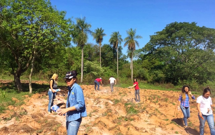 Encalado de Suelo en Caacupé 