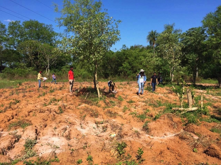 Encalado de Suelo en Caacupé 