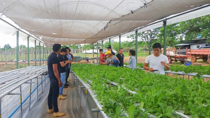 Actividad de Campo en FREED FOOD S.R.L. 