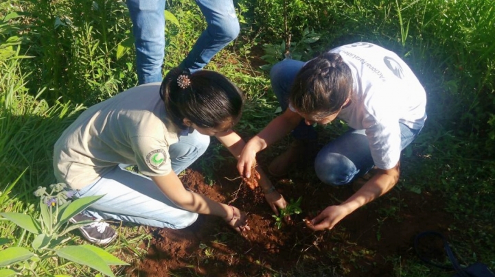 Trabajo de Campo en IPTA San Lorenzo